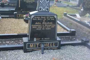 Mitchell John Glenamaddy and Williamstown